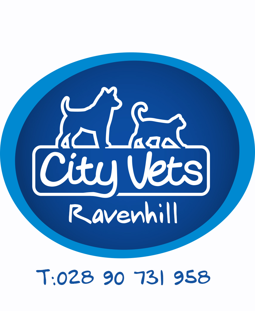 City Vets Ravenhill Road